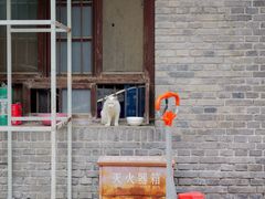 -西安大兴善寺