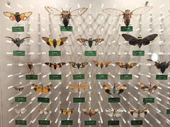 -国家自然博物馆