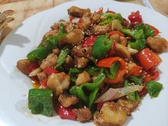 -煲来饱去冷水鱼