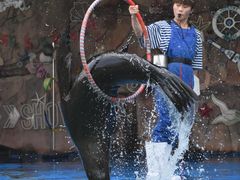 -灵玲国际马戏城