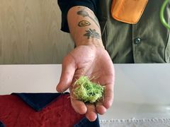 -T館·花园艺术餐厅