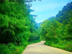 -西安祥峪森林公园