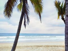 -海南清水湾莱佛士酒店