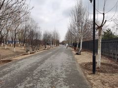 -永定河休闲森林公园