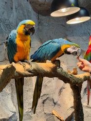 -Zoolung Zoolung动物主题公园(海信广场店)