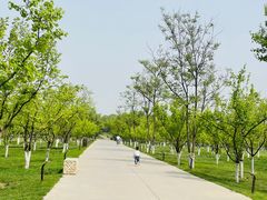 -汉长安城未央宫国家考古遗址公园