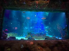 -沈阳海洋探索中心