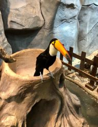 -Zoolung Zoolung动物主题公园(海信广场店)