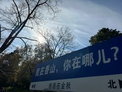 -香山公园