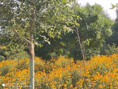 -长春公园(普阳街道)