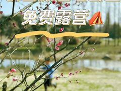 -长田漾湿地公园