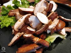 -九田家黑牛烤肉料理(二天地店)