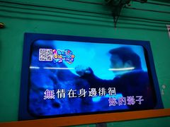 -马路牙子地桌烤肉(工体店)