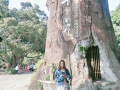 -青青世界