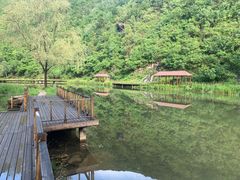 -白河湾生态旅游一条川