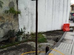 -槟城街头艺术街区