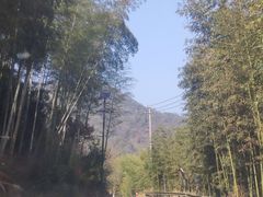 -莫干山风景区