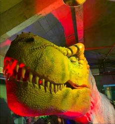 -恐龙探索乐园(磁器口店)