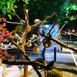 点击看大图 -酷嗒动物文化乐园(cutezoo西溪乐天城店)