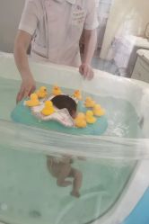 -维倪月子会所(独栋庭院·南海店)
