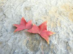 -香山公园-东宫门售票处