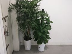 -英孚教育青少儿(银盆岭万达广场店)