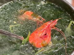 明炉海带苗-渔傅·霞浦滩涂海鲜(建平店)