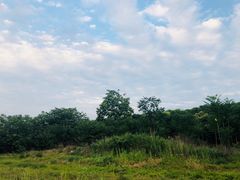 -汉长安城未央宫国家考古遗址公园