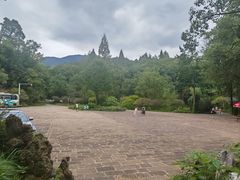 -灵栖洞天