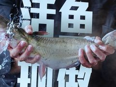 -老板恋上鱼(恒隆广场店)