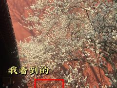 -钱王祠