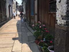 -乌镇东栅景区
