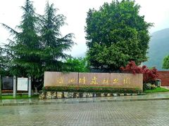 -铁山坪森林公园