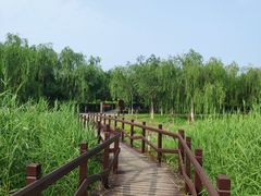 -西青郊野公园