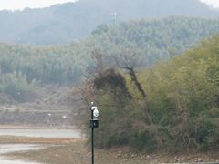 -宁波九龙湖开元度假村