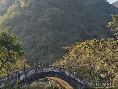 -靖西鹅泉风景区