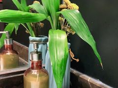 -青年公社烤鸭(蜀山万象汇店)