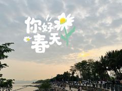 -深圳湾公园(南山区)