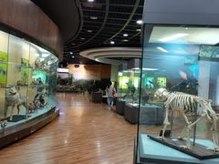 -陕西自然博物馆