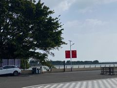 -大湾区中央湿地公园
