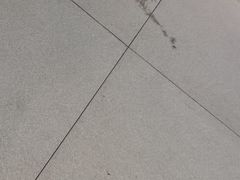 -老佛爷铜炉蛙锅(海岸城店)