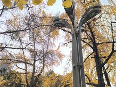 -四川大学(华西校区)