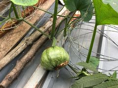 -南窖乡水峪村山情农家