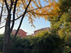 -CafeDuVillage乡村咖啡馆(美邻苑店)