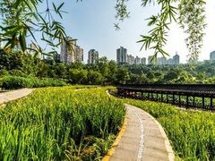 -龙头寺公园