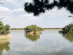 -山东八大碗山东老字号