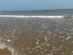 -日照海滨国家森林公园