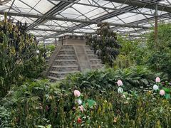 -南宫五洲植物乐园