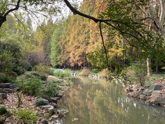 -上海植物园·停车场