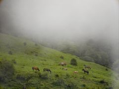 -硗碛藏寨·神木垒景区